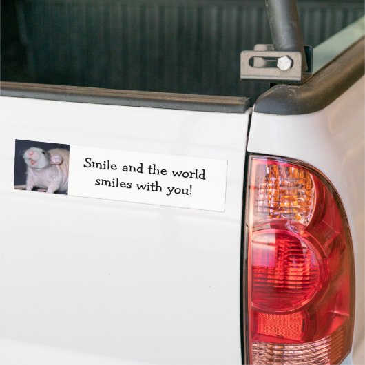 Cute Smile Rat Bumpersticker (Op Truck)