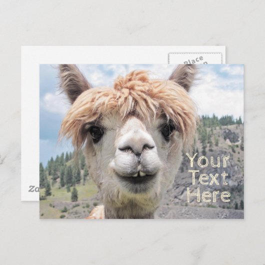 Cute Smiling Alpaca Photo Afbeelding Briefkaart (Voorkant / Achterkant)