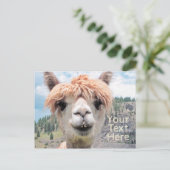 Cute Smiling Alpaca Photo Afbeelding Briefkaart (Staand voorkant)