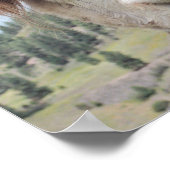 Cute Smiling Alpaca Photo Afbeelding Poster (Hoek)