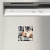 Cute Smiling Chihuahua op Blanket Magneet (Insitu (Vaatwasser))