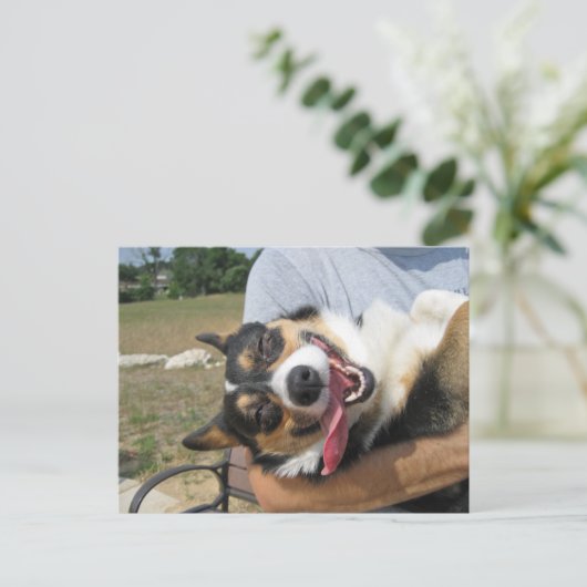 Cute Smiling Corgi Dog Briefkaart (Staand voorkant)