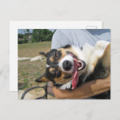 Cute Smiling Corgi Dog Briefkaart (Voorkant / Achterkant)