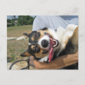 Cute Smiling Corgi Dog Briefkaart (Voorkant)