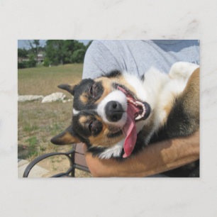 Cute Smiling Corgi Dog Briefkaart