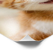 Cute Smiling Kitten Face Funny Cat Meow Foto Afdruk (Hoek)