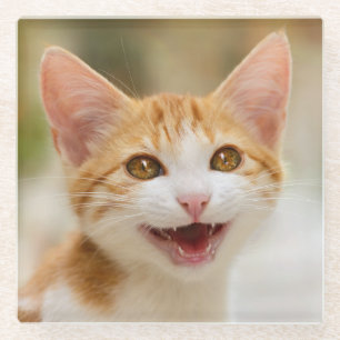 Cute Smiling Kitten Face Funny Cat Meow Foto Glazen Onderzetter