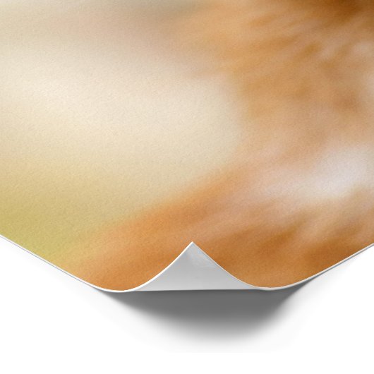 Cute Smiling Kitten Face Funny Cat Meow Foto Poster (Hoek)