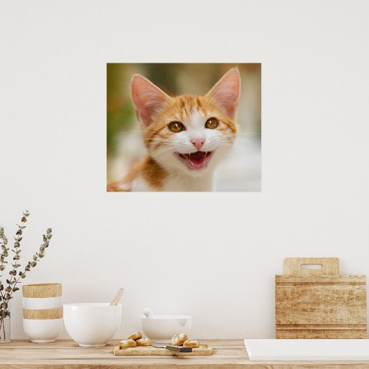 Cute Smiling Kitten Face Funny Cat Meow Foto Poster (Keuken)