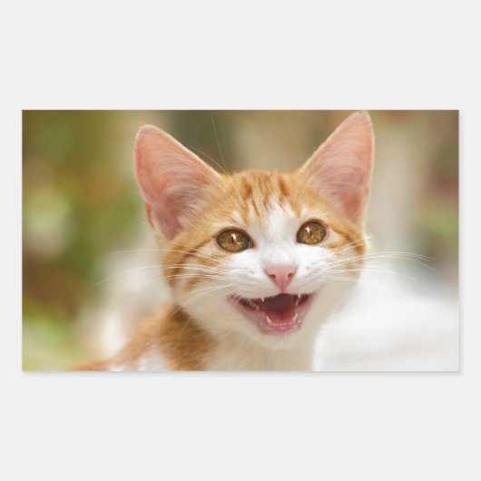 Cute Smiling Kitten Face Funny Cat Meow Foto Rechthoekige Sticker (Voorkant)
