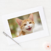 Cute Smiling Kitten Face Funny Cat Meow Foto Rechthoekige Sticker (Envelop)