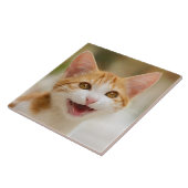 Cute Smiling Kitten Face Funny Cat Meow Foto Tegeltje (Zijkant)