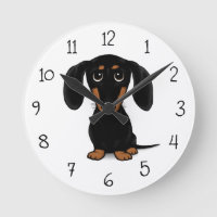 Cute Smooth Coated Black en Tan Dachshund Dog