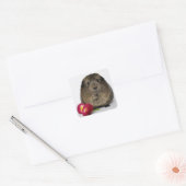Cute, Smooth, Lemon Agouti Guinee Pig en Flowers Vierkante Sticker (Envelop)