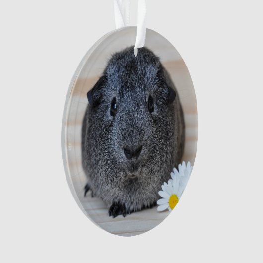 Cute Smooth, Silver Agouti Guinee Pig en Daisies Ornament (voorkant)