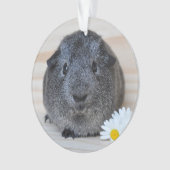 Cute Smooth, Silver Agouti Guinee Pig en Daisies Ornament (voorkant)