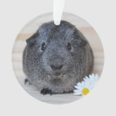 Cute Smooth, Silver Agouti Guinee Pig en Daisies Ornament (voorkant)