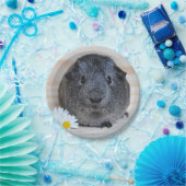 Cute Smooth, Silver Agouti Guinee Pig en Daisies Papieren Bordje (Feest)