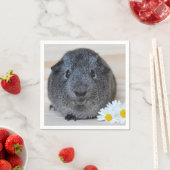 Cute Smooth, Silver Agouti Guinee Pig en Daisies Servetten (Insitu)
