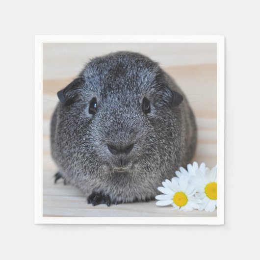Cute Smooth, Silver Agouti Guinee Pig en Daisies Servetten (Voorkant)