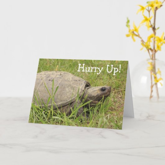 Cute Snapping Turtle get Well Kaart (Gele Bloem)