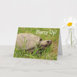 Cute Snapping Turtle get Well Kaart