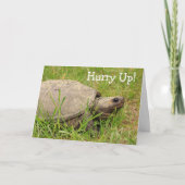 Cute Snapping Turtle get Well Kaart (Voorkant)
