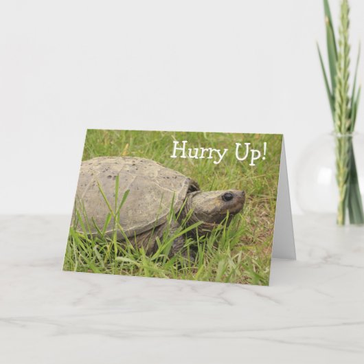 Cute Snapping Turtle get Well Kaart (Voorkant)