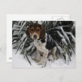 Cute Snoopy Beagle Puppy Dog in sneeuw Briefkaart (Voorkant / Achterkant)