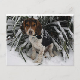 Cute Snoopy Beagle Puppy Dog in sneeuw Briefkaart