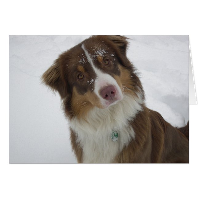 Cute Snow Dog (Voorkant Horizontaal)
