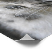 Cute Snow Leopard Poster (Hoek)