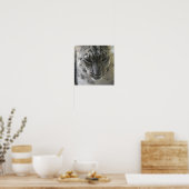 Cute Snow Leopard Poster (Keuken)