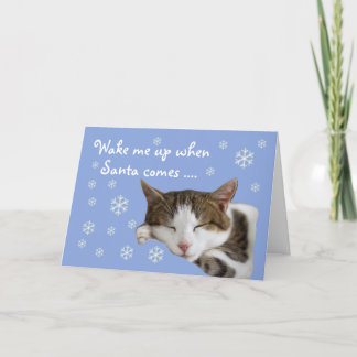 Cute Snowflakes Blue-kerstkaart Feestdagen Kaart