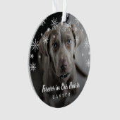 Cute Snowflakes Dog Foto Pet Memorial Ornament (voorkant)
