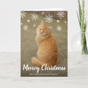Cute Snowflakes Photo Cat Meowy Kerstmis Feestdagen Kaart