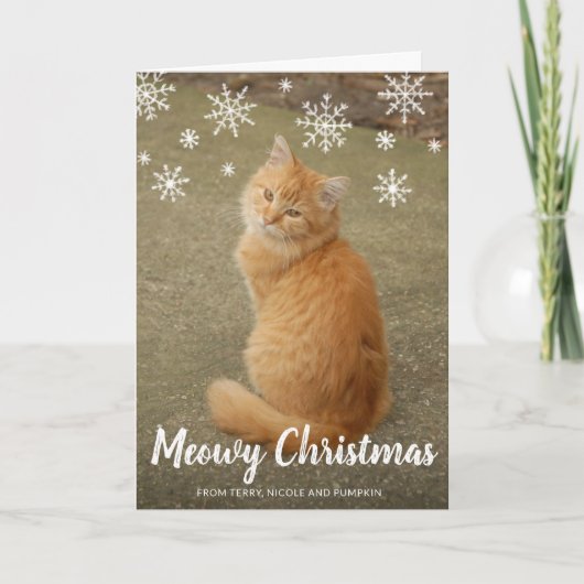 Cute Snowflakes Photo Cat Meowy Kerstmis Feestdagen Kaart (Voorkant)