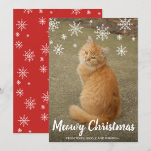 Cute Snowflakes Photo Cat Meowy Kerstmis Feestdagenkaart