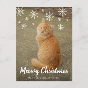 Cute Snowflakes Photo Cat Meowy Kerstmis Feestdagenkaart