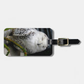Cute Snowy Owl Bagagelabel (Voorkant horizontaal)