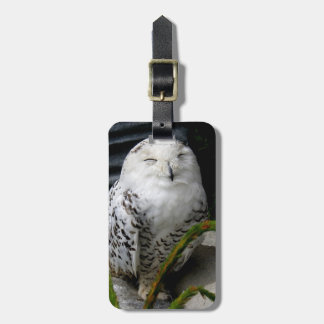 Cute Snowy Owl Bagagelabel