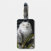 Cute Snowy Owl Bagagelabel (Achterkant verticaal)