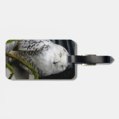 Cute Snowy Owl Bagagelabel (Achterkant horizontaal)