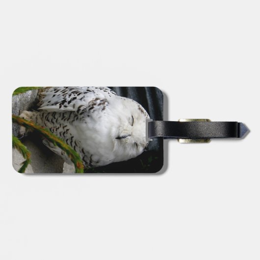 Cute Snowy Owl Bagagelabel (Achterkant horizontaal)