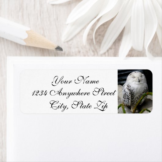 Cute Snowy Owl Etiket (Insitu)