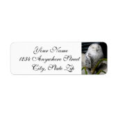 Cute Snowy Owl Etiket (Voorkant)