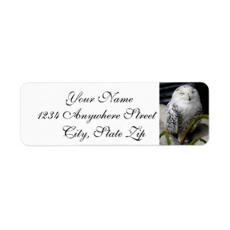Cute Snowy Owl Etiket