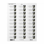 Cute Snowy Owl Etiket (Full Sheet)