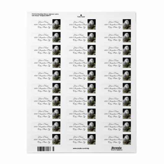 Cute Snowy Owl Etiket (Full Sheet)