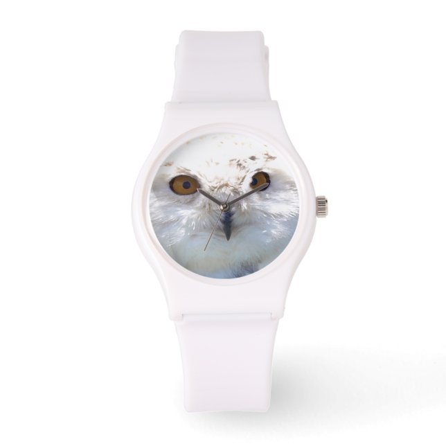 Cute Snowy Owl Eyes Wildlife Foto Horloge (Voorkant)